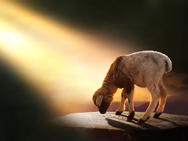 Is the Passover Just a Sin Offering? (Part One)